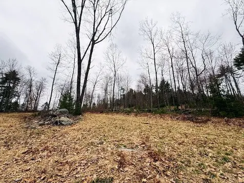 Map R2 Lot 53 Cape Road Limington ME 04049