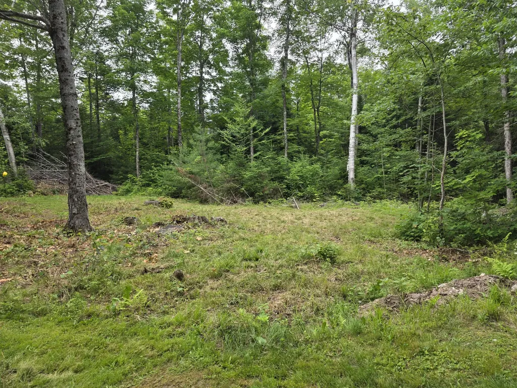81 Spencer Road Brownville ME 04414