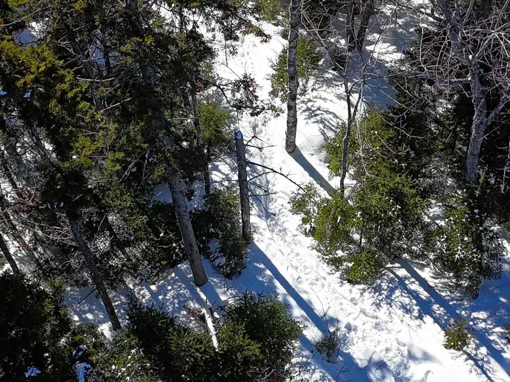 2020, 2022 Pond Road Carrabassett Valley ME 04947