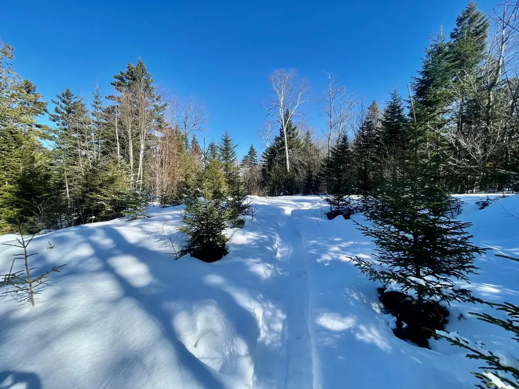 2020, 2022 Pond Road Carrabassett Valley ME 04947