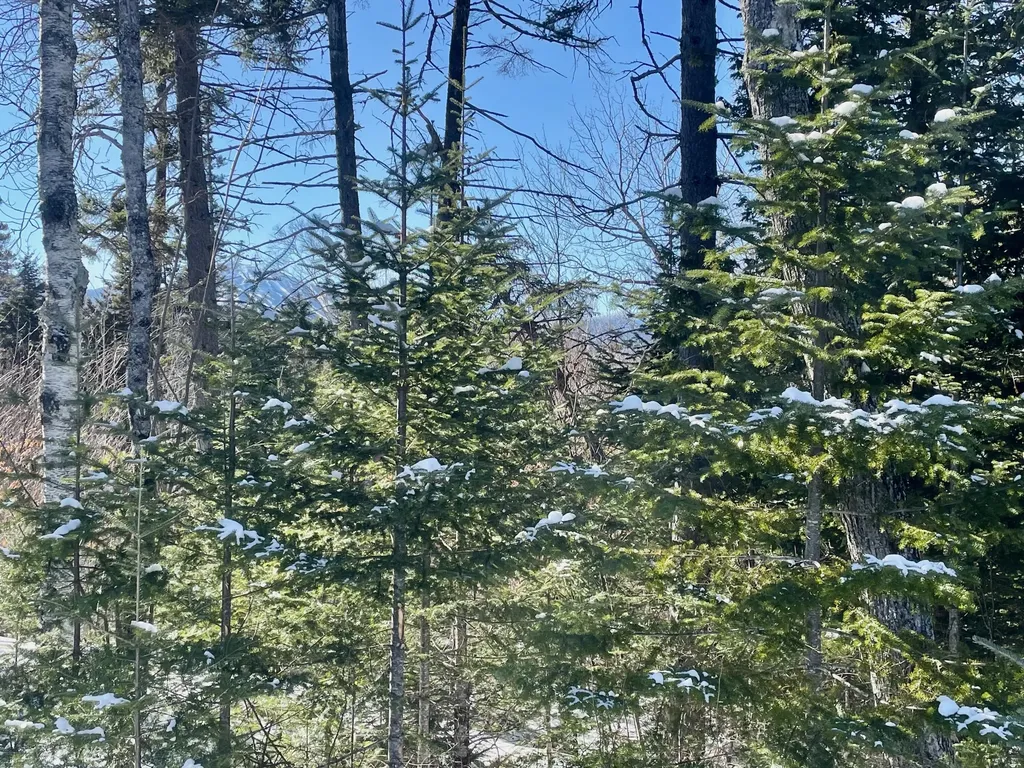 2020, 2022 Pond Road Carrabassett Valley ME 04947