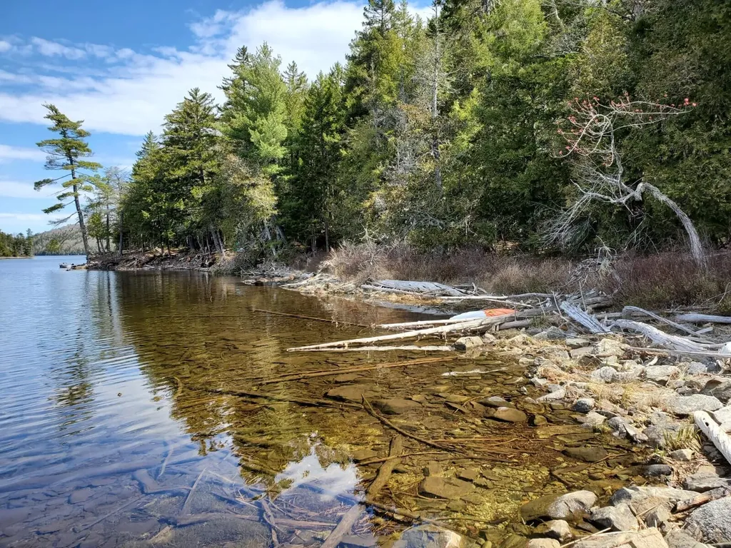 1.3 Ac Off Barrows Lake Road Alexander ME 04694