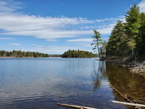 1.3 ac Off Barrows Lake Road Alexander ME 04694