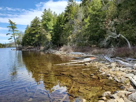 1.3 Ac Off Barrows Lake Road Alexander ME 04694