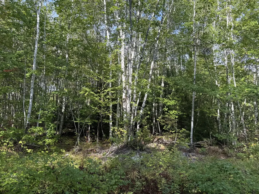 15 Moose Trail Drive Waltham ME 04605