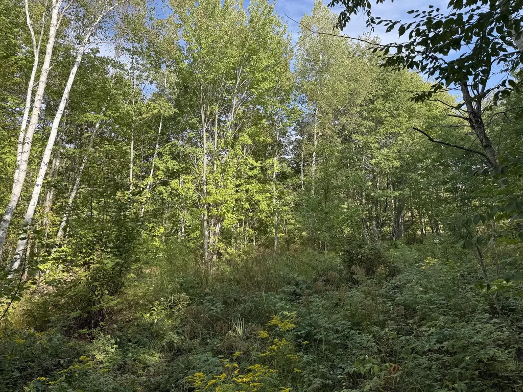 15 Moose Trail Drive Waltham ME 04605