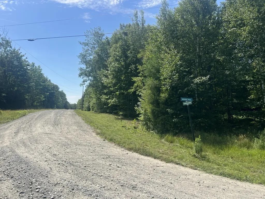 15 Moose Trail Drive Waltham ME 04605