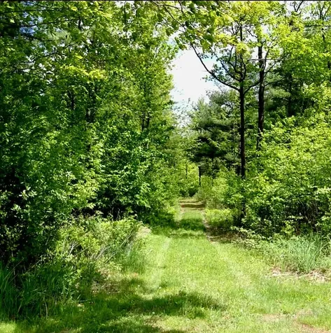 2 Melissa Drive Lewiston ME 04240