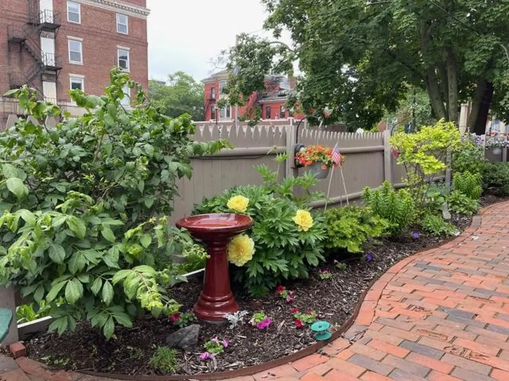 15 Pine Street Portland ME 04102
