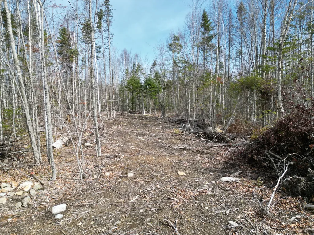 Lot 1 Moores Road Springfield ME 04487