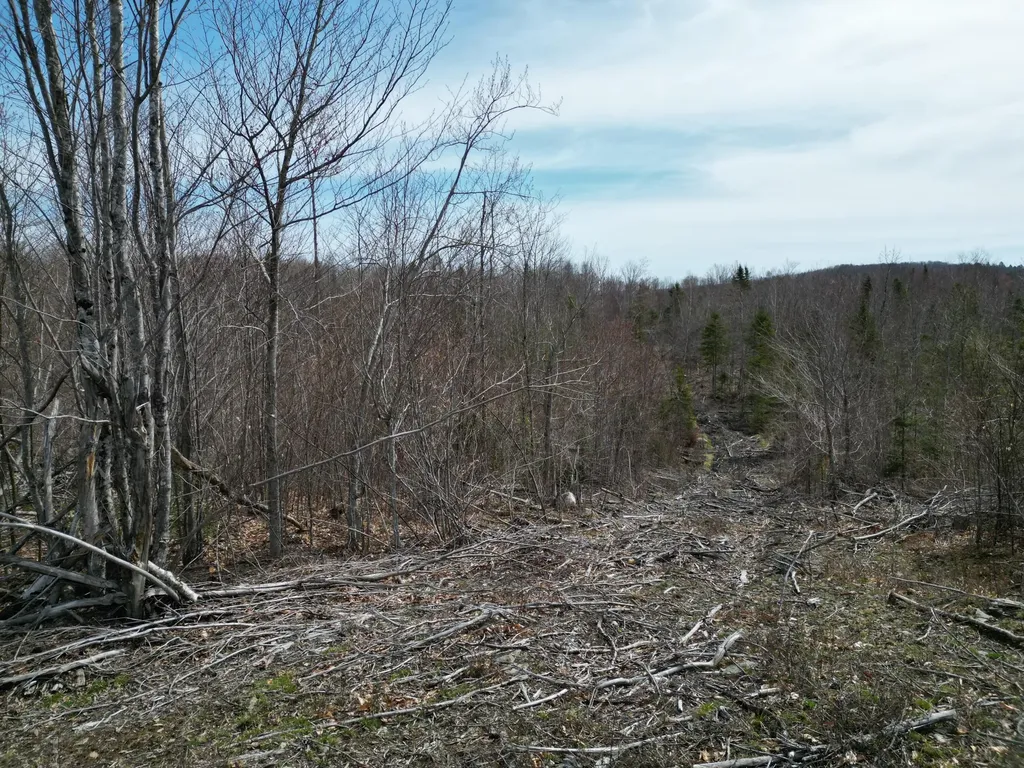 Lot 1 Moores Road Springfield ME 04487
