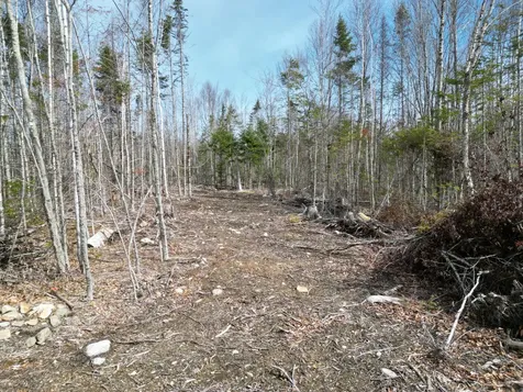 Lot 1 Moores Road Springfield ME 04487