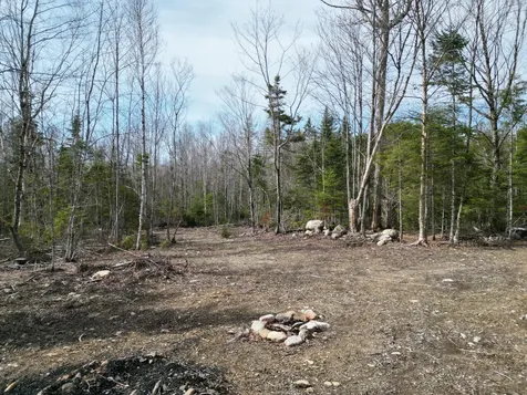 Lot 1 Moores Road Springfield ME 04487