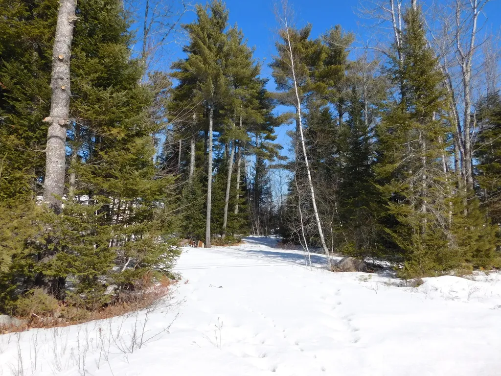 638 Greenfield Road Greenbush ME 04418