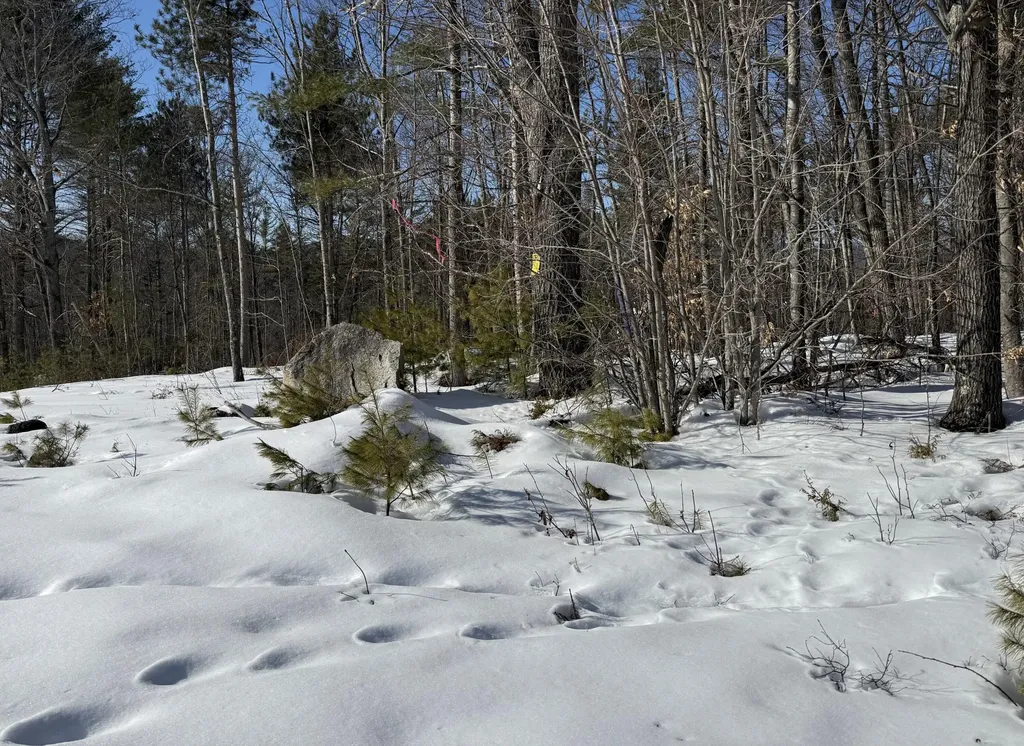 299 Intervale Road Jay ME 04239