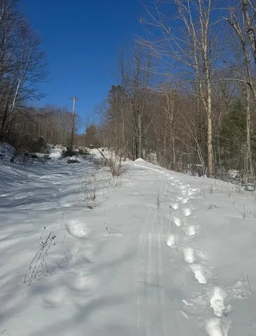 299 Intervale Road Jay ME 04239