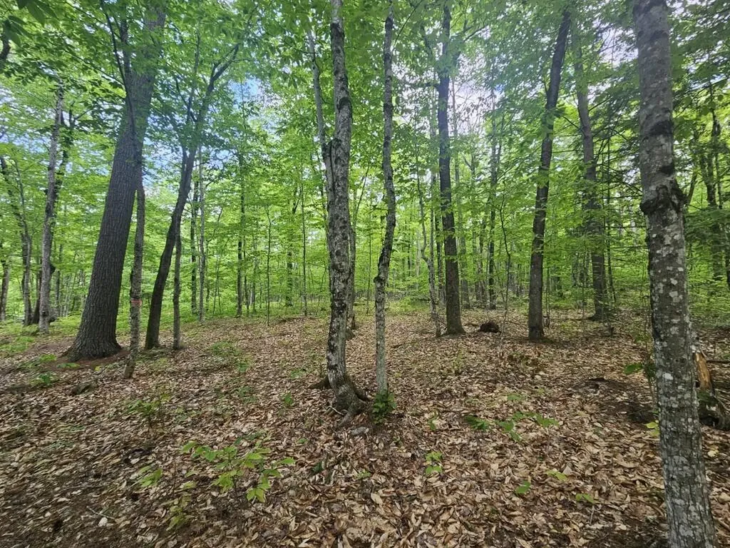 M10L44 Mountain View Road Fryeburg ME 04037