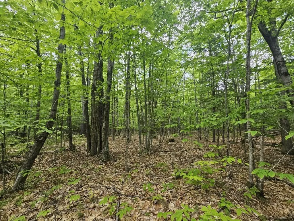 M10L44 Mountain View Road Fryeburg ME 04037