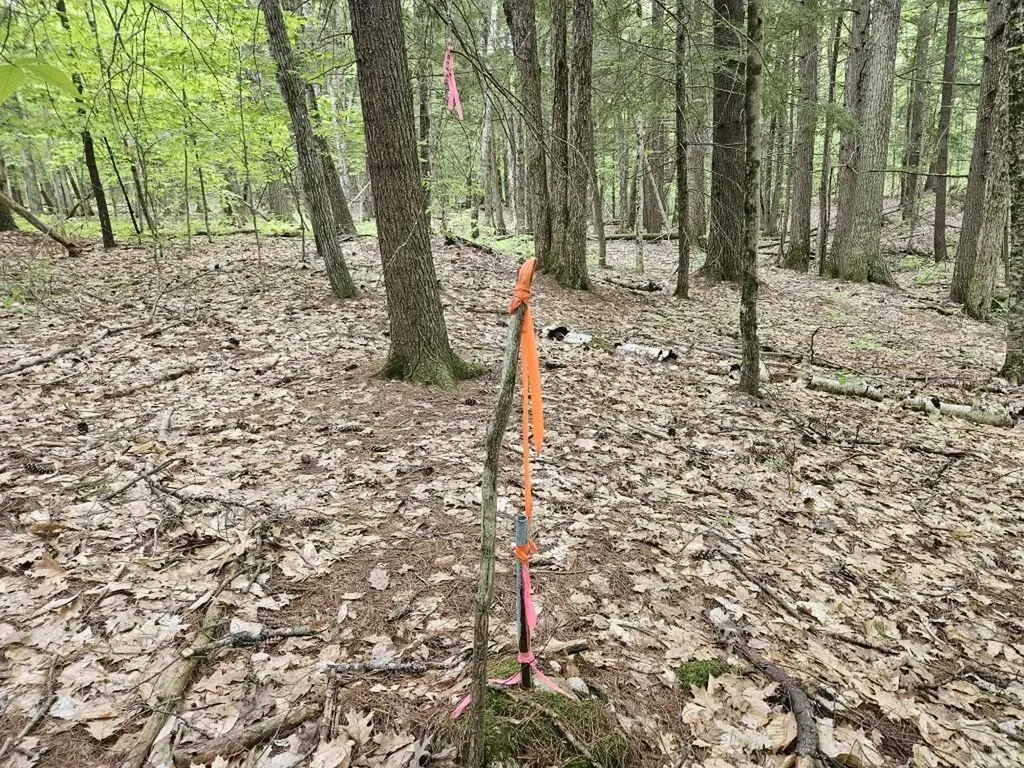 M10L44 Mountain View Road Fryeburg ME 04037