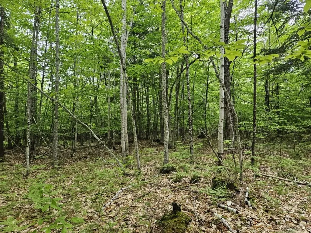 M10L44 Mountain View Road Fryeburg ME 04037
