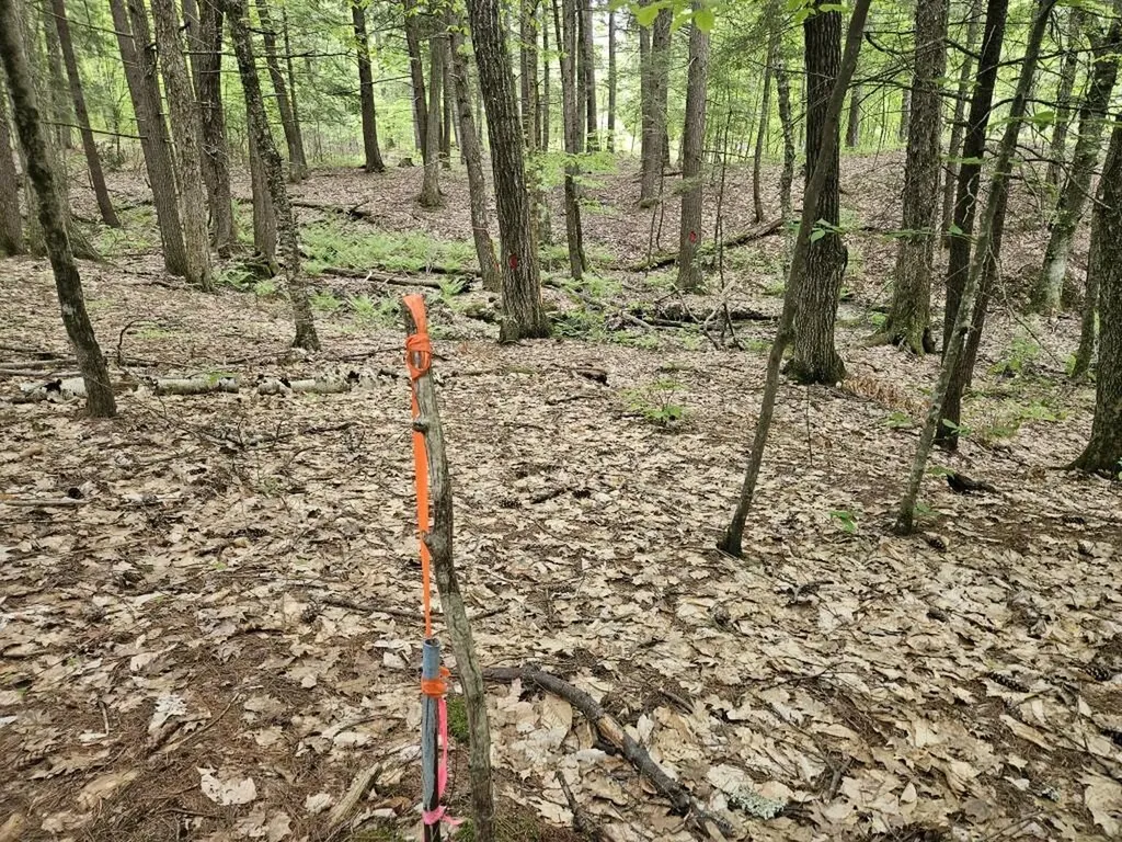 M10L44 Mountain View Road Fryeburg ME 04037