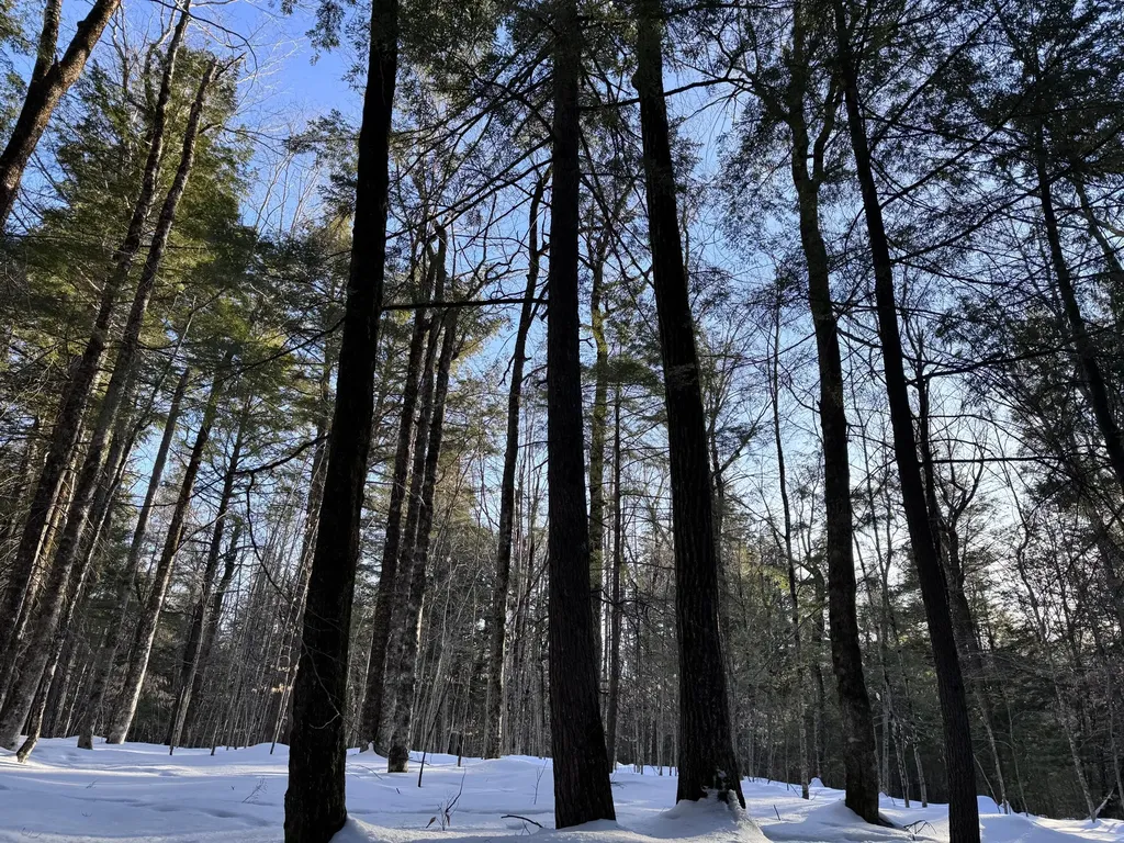 M10L44 Mountain View Road Fryeburg ME 04037