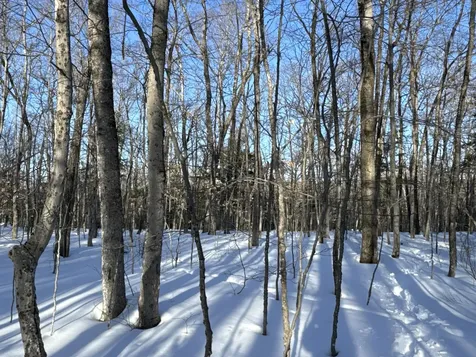 M10L44 Mountain View Road Fryeburg ME 04037