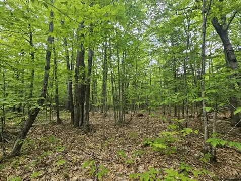 M10L44 Mountain View Road Fryeburg ME 04037