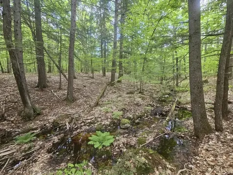 M10L44 Mountain View Road Fryeburg ME 04037