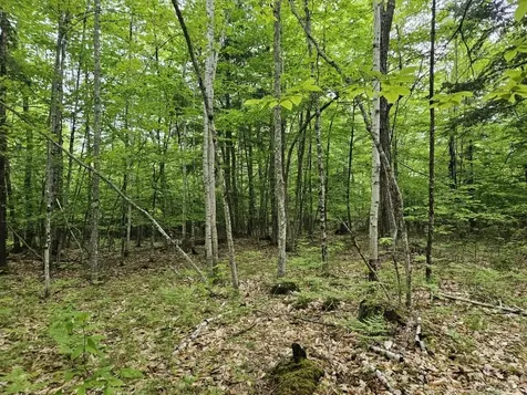 M10L44 Mountain View Road Fryeburg ME 04037