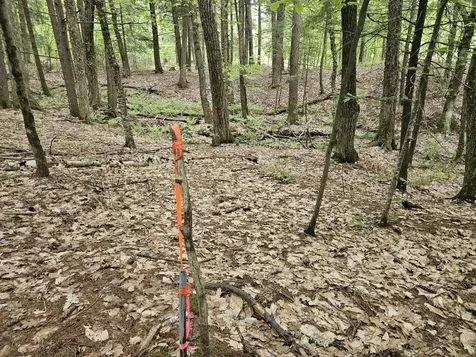 M10L44 Mountain View Road Fryeburg ME 04037