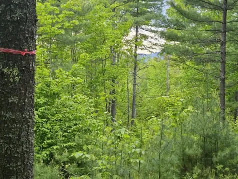 M10L44 Mountain View Road Fryeburg ME 04037