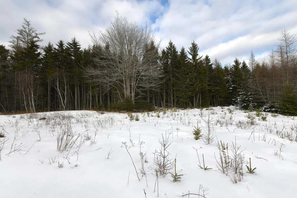 12 Lindsay's Road Deer Isle ME 04627