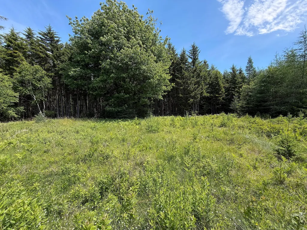 12 Lindsay's Road Deer Isle ME 04627
