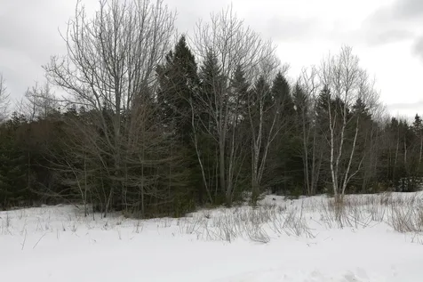 12 Lindsay's Road Deer Isle ME 04627
