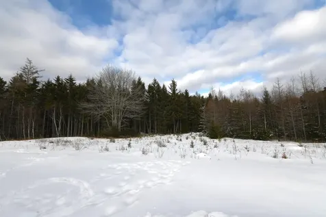 12 Lindsay's Road Deer Isle ME 04627