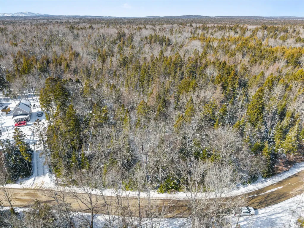Lot #059 Paul Bunyan Road Gouldsboro ME 04624