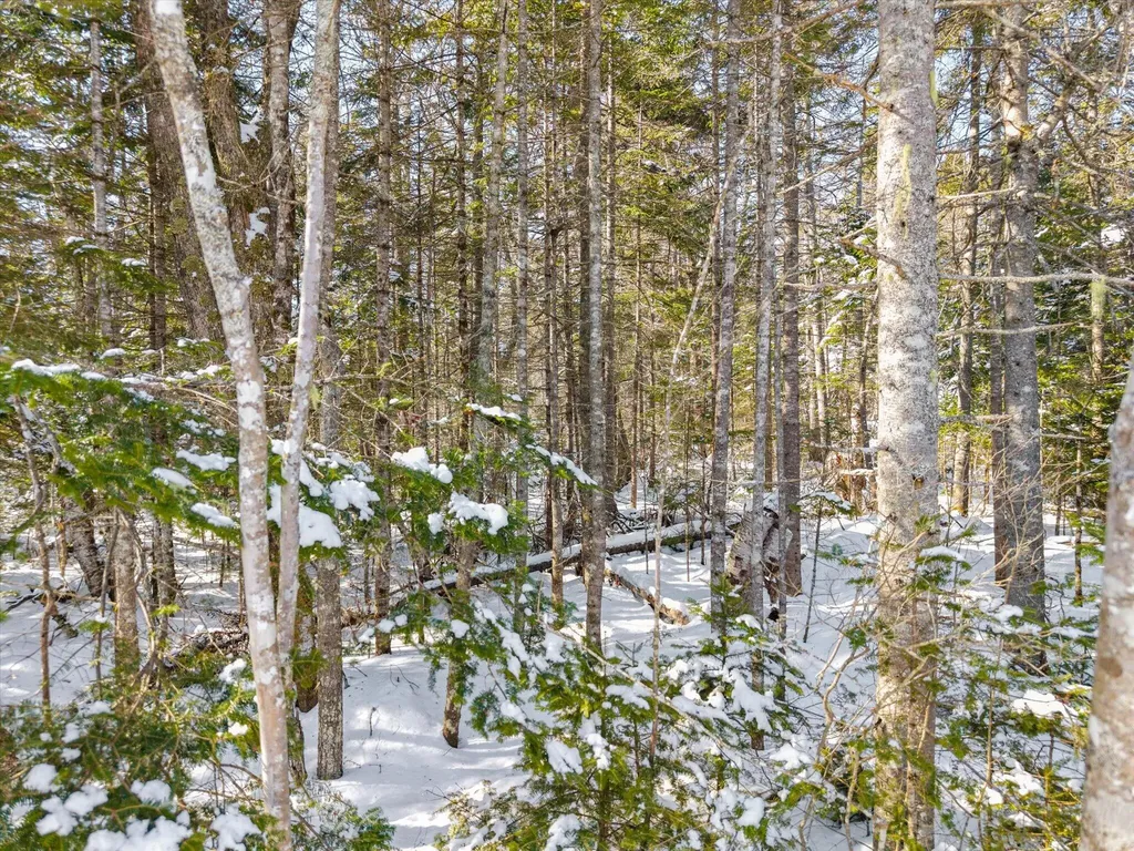 Lot #059 Paul Bunyan Road Gouldsboro ME 04624