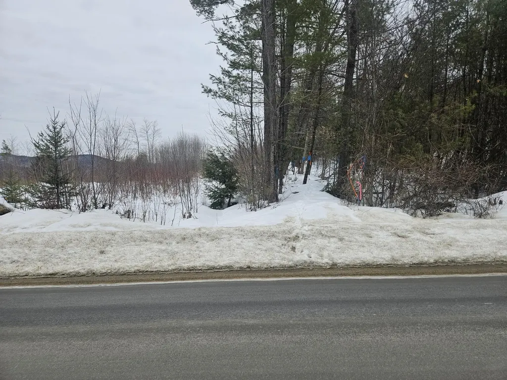 L52 Bridgton Road Sweden ME 04040