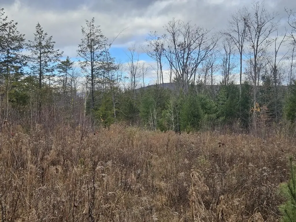 L52 Bridgton Road Sweden ME 04040
