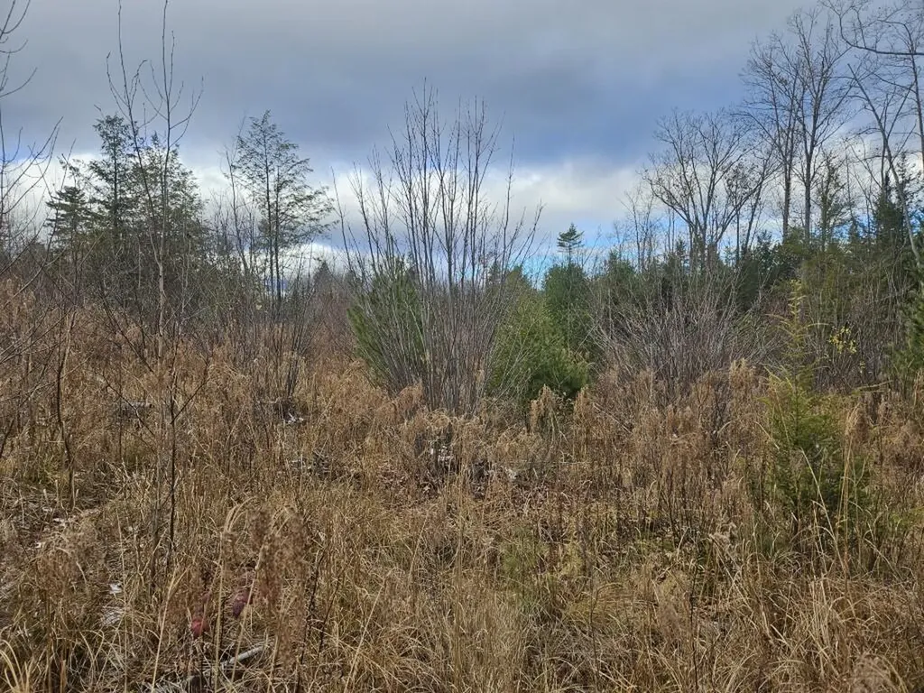 L52 Bridgton Road Sweden ME 04040