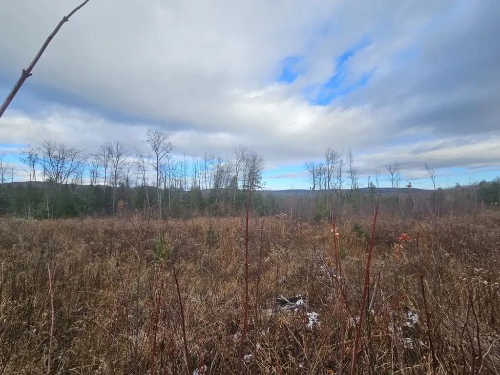 L52 Bridgton Road Sweden ME 04040