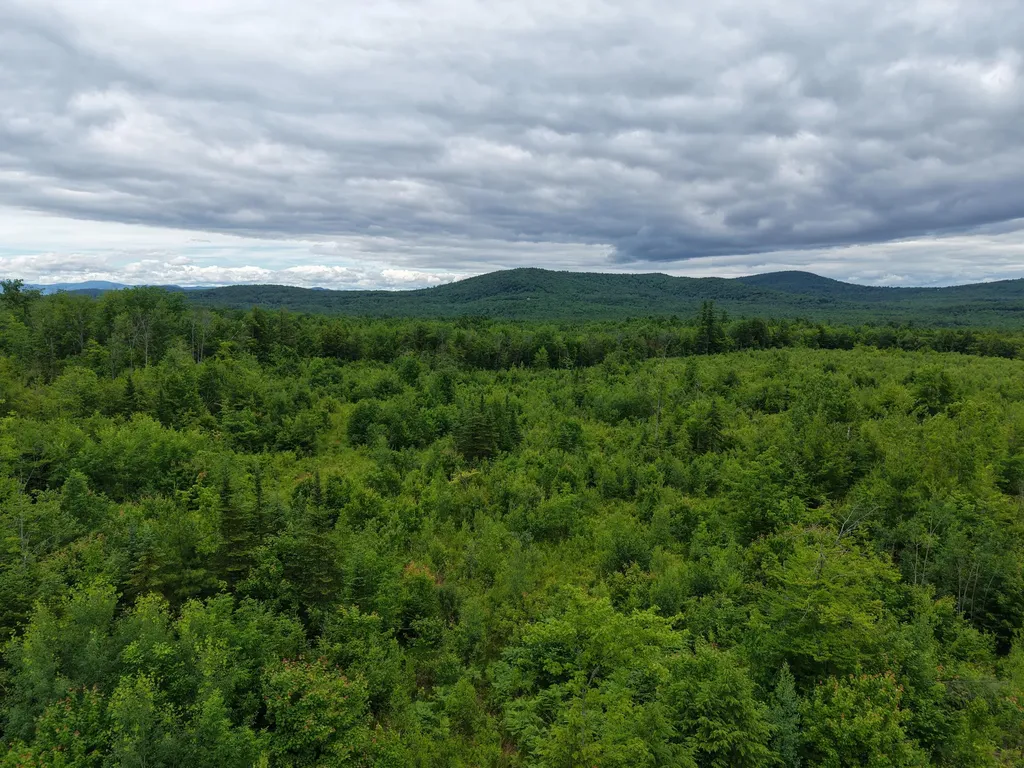 L52 Bridgton Road Sweden ME 04040