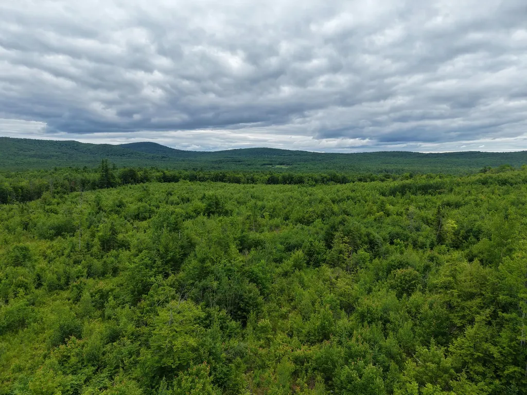 L52 Bridgton Road Sweden ME 04040