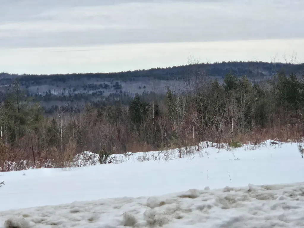 L52 Bridgton Road Sweden ME 04040