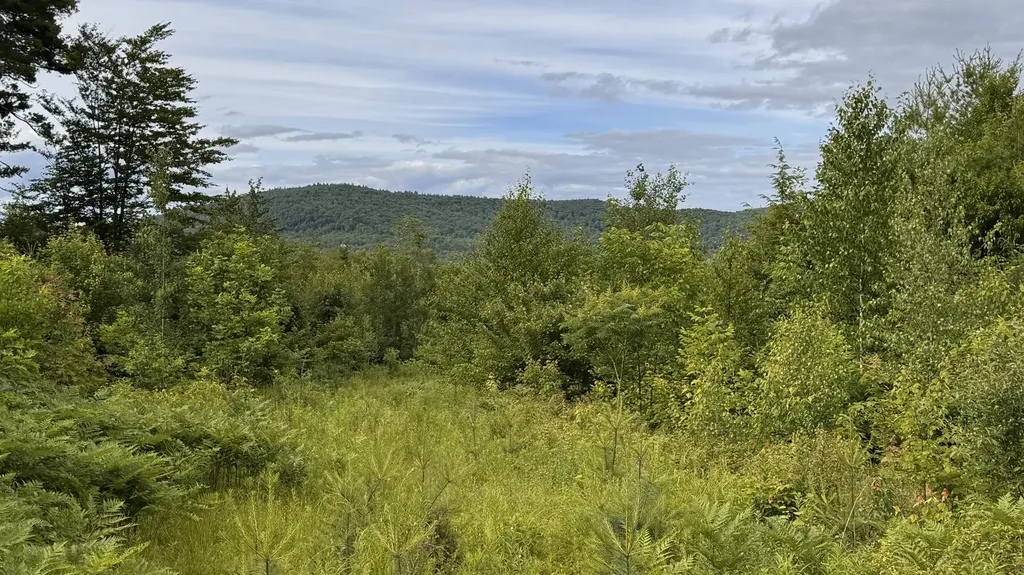 L52 Bridgton Road Sweden ME 04040