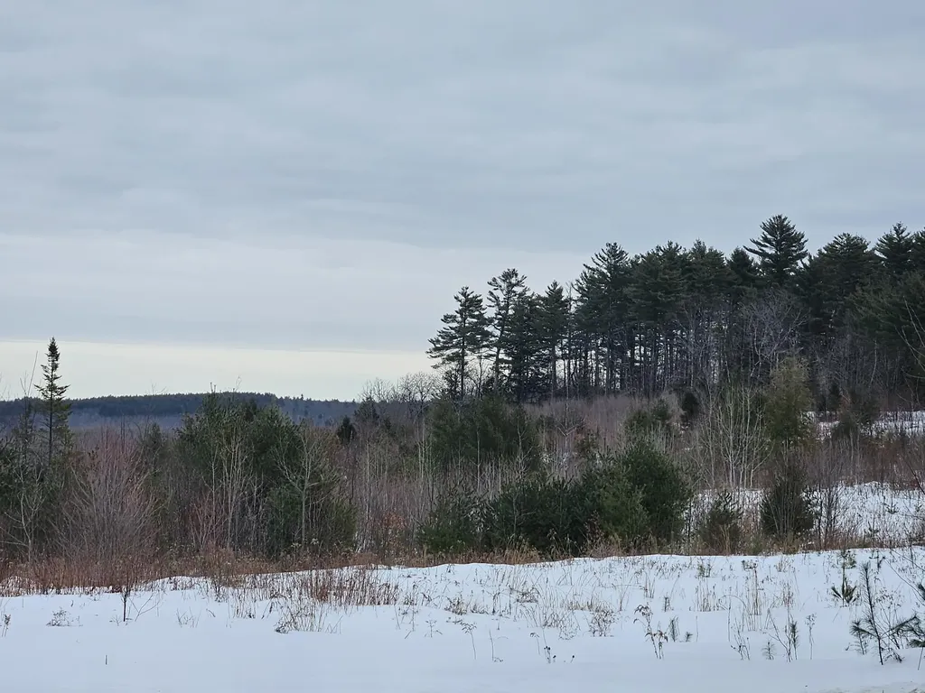 L52 Bridgton Road Sweden ME 04040
