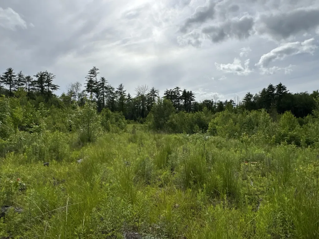 L52 Bridgton Road Sweden ME 04040