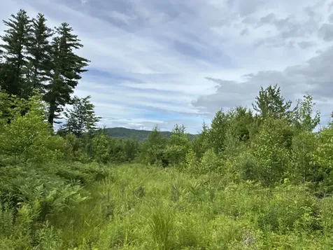 L52 Bridgton Road Sweden ME 04040