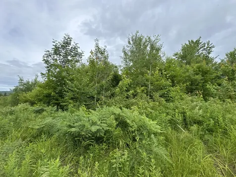L52 Bridgton Road Sweden ME 04040